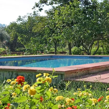 Punxa Vila Pollença